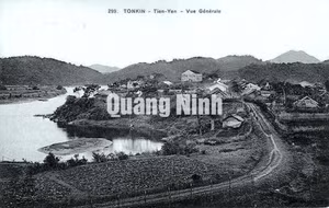 Ảnh 12