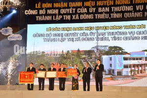 Ảnh 13