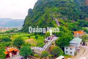 Ảnh 2