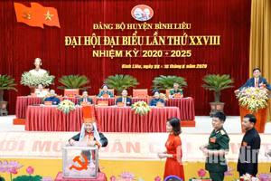 Ảnh 7