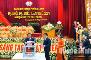 Ảnh 10