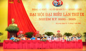 Ảnh 2