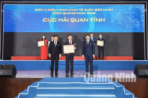 Ảnh 17
