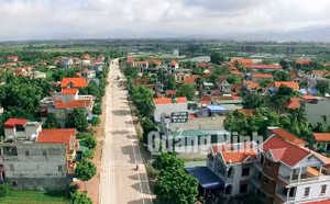 Ảnh 22