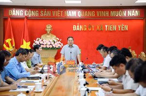Ảnh 6