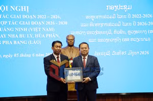 Ảnh 5