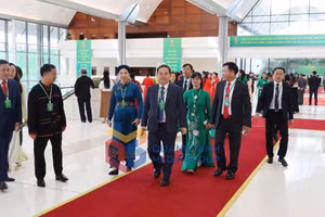 Ảnh 1