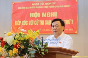 Ảnh 2