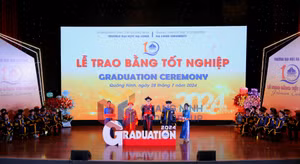 Ảnh 7