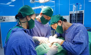 Ảnh 10