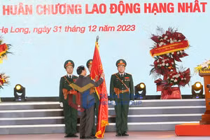 Ảnh 2