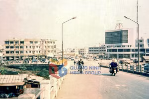 Ảnh 11