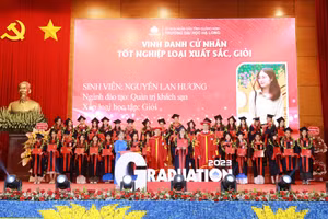 Ảnh 12