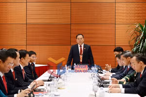 Ảnh 12