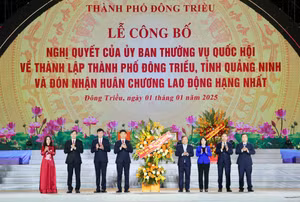 Ảnh 4