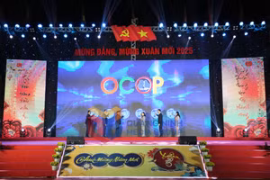 Ảnh 10