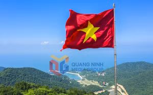 Ảnh 2