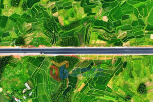 Ảnh 8