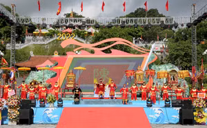 Ảnh 7