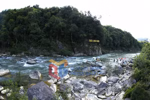 Ảnh 10