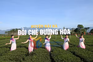 Ảnh 2