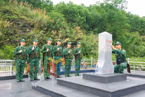 Ảnh 22