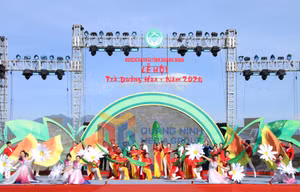Ảnh 1