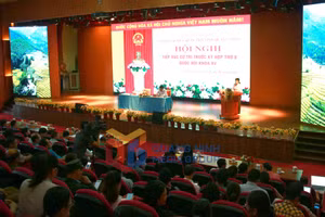 Ảnh 1