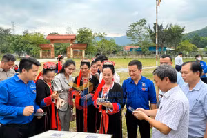 Ảnh 17
