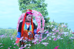 Ảnh 2