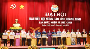 Ảnh 9