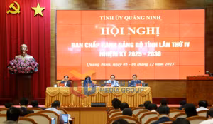 Ảnh 2