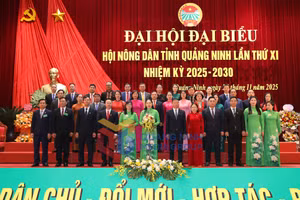 Ảnh 4