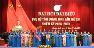 Ảnh 4