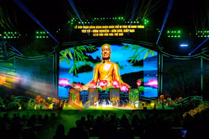 Ảnh 7