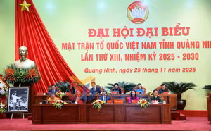 Ảnh 2