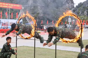 Ảnh 13