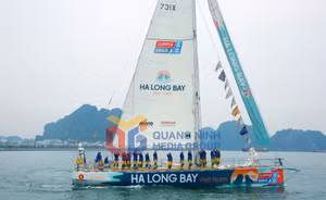 Ảnh 11