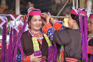 Ảnh 7