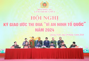 Ảnh 2