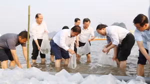 Ảnh 1