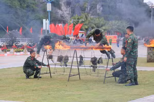 Ảnh 14