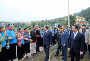 Ảnh 3