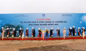 Ảnh 7