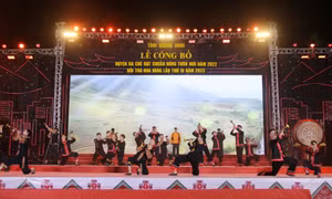 Ảnh 3