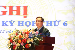 Ảnh 2