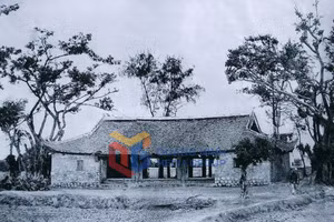 Ảnh 17