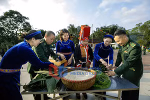 Ảnh 12