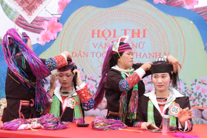 Ảnh 4