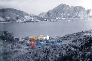 Ảnh 10